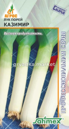 Лук порей Казимир 1г (Агрос) Германия