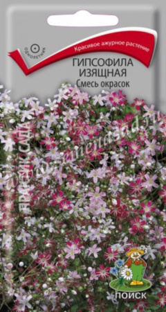 Гипсофила изящная Смесь окрасок (ЦВ) (