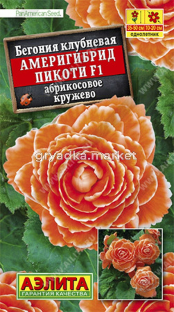 Бегония Америгибрид Пикоти F1 абрикосовое кружево (Аэлита)
