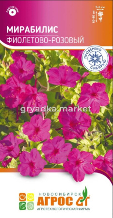 Мирабилис Фиолетово-розовый 1г Одн 80см (Агрос)
