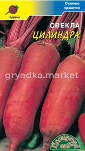 Свекла Цилиндра (Цвет сад)