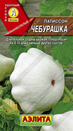 Патиссон Чебурашка (Аэлита ) Патиссон Чебурашка (Аэлита )