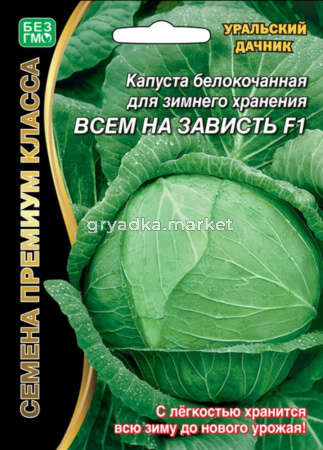 Капуста б-к Всем на зависть -для зимн.хранения-(УД) ЧСС