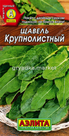 Щавель Крупнолистный (Аэлита)