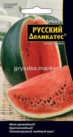 Арбуз Русский Деликатес (УД) Новинка!!!.ЧСС