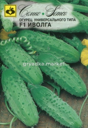 Огурец Иволга F1 5шт Парт Ранн (Семко)