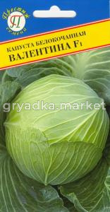 Капуста б-к Валентина F1 20шт. поздн- Престиж