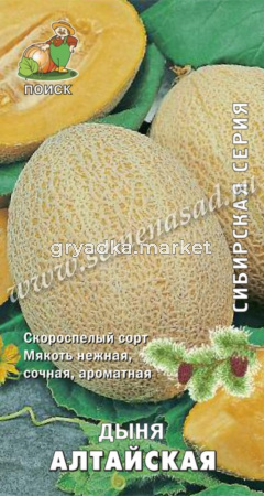 Дыня Алтайская 15шт (Поиск)