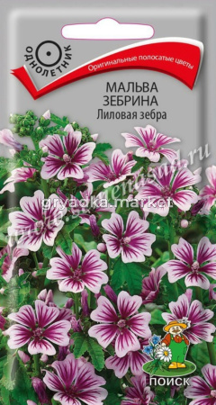 Мальва зебрина Лиловая зебра 0,2г Поиск