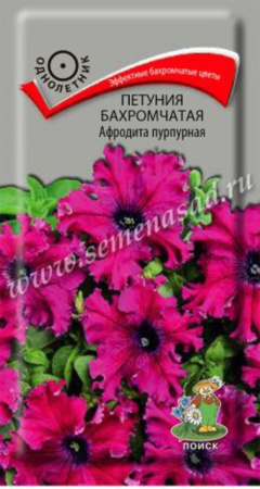 Петуния Афродита Пурпурная 10шт.бахр. Поиск