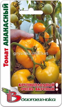 Томат Ананасный -Биотехника-ярко-желтые мясис