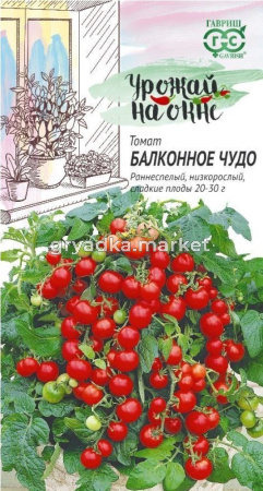 Томат Балконное чудо 0,05г (Гавриш) Урожай на окне