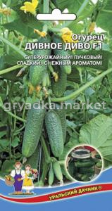 Огурец Дивное Диво F1 (УД) супеурожайный пучковый гибрид!сладкий,ароматный!