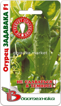 Огурец Задавака F1-теневын,хруст,сочн. Биотехника
