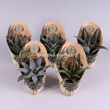 Мангава микс  15-25