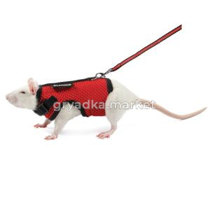 Комплект шлейка и поводок для крысы 