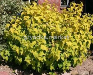 Скриншот 21-04-2026 111650