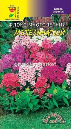 Флокс Многолетний Метельчатый СМЕСЬ Цвет.сад.
