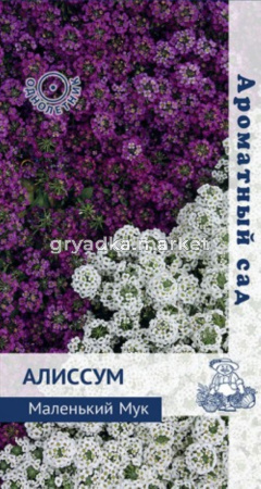 Алиссум Маленький Мук 0,3г.сер.Ароматный сад Поиск