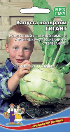 Капуста кольраби Гигант (УД) (поздняя, крупная, 2,5-3,0 кг, мякоть нежная, сочная)