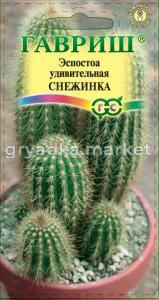 Эспостоа удивительная Снежинках 5 шт (Гавриш)