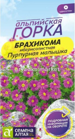 Брахикома Пурпурная малышка 0,05г Одн 20см (Сем Алт) Альпийская горка