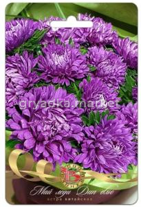 Астра Май Леди Дип Блю 30шт Одн 30см (Биотехника)