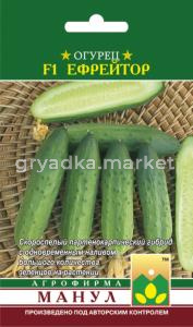 Огурец Ефрейтор F1,Парт,урож,универс. Манул