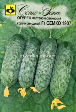 Огурец Семко 1907 F1 корнишон 10шт Парт Ранн (Семко)