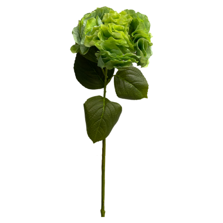 1 1