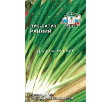 Лук батун Ранний 1г Ранн (Седек)
