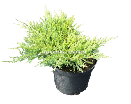 Скриншот 09-11-2023 095946-PhotoRoom.png-PhotoRoom