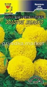 Бархатцы пр.Золотое яблоко, крпнцв. Цвет.Сад