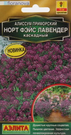 Алиссум Норт фэйс лавендер каскадный 10шт Одн 15см (Аэлита)