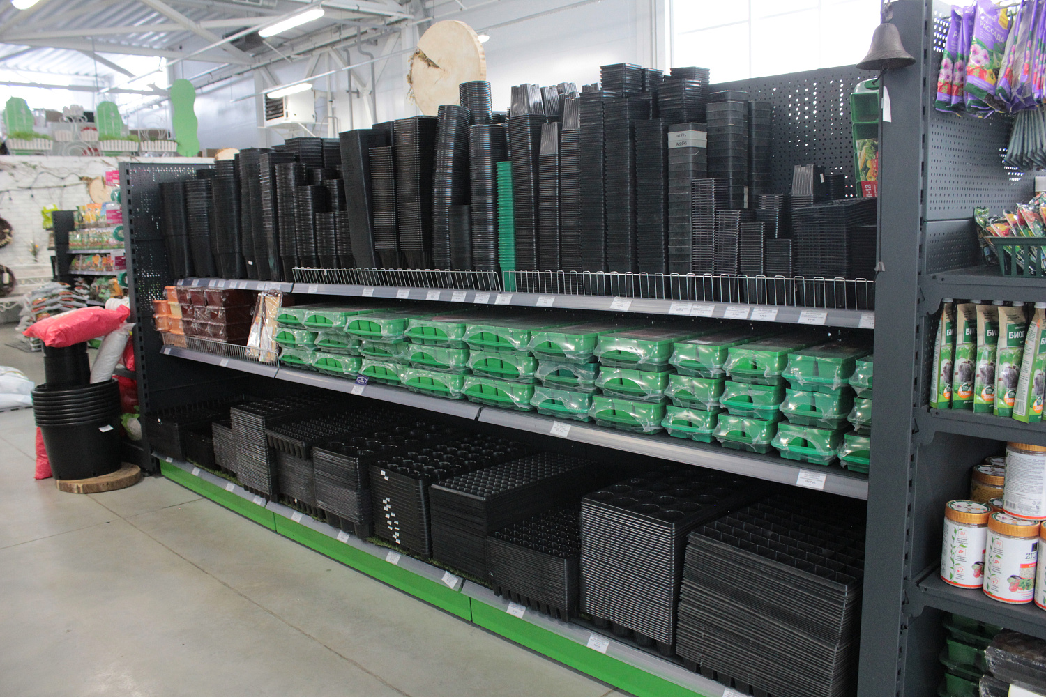 Как ухаживать за рассадой? Всего 8 пунктов, но чрезвычайно важных.