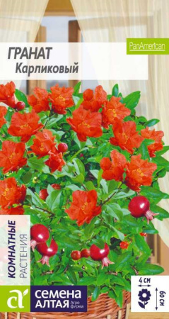 Гранат Карликовый-Сем Алт-цп 5 шт