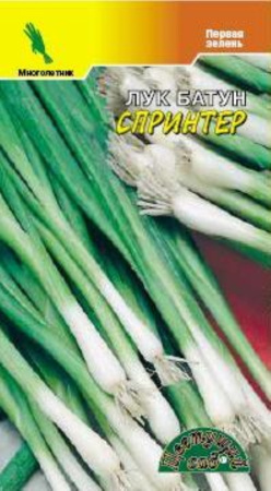 Лук батун Спринтер новинка! Цвет.сад 