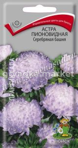 Астра пионовидная Серебряная башня (ЦВ) (