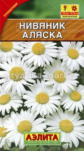 Нивяник Аляска Аэлита