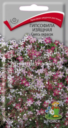 Гипсофила изящная Смесь окрасок (ЦВ) (