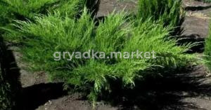 Скриншот 21-04-2026 113232