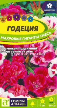 Годеция Махровые гиганты 0,05г смесь Одн 60см (Сем Алт)