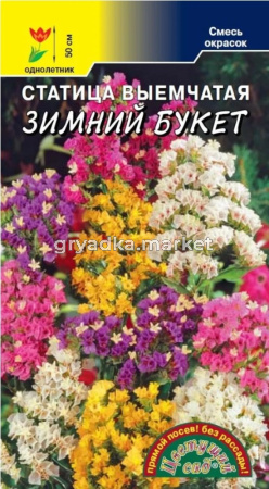 Статица Зимний букет 0.1г Одн 50см (Цвет сад)