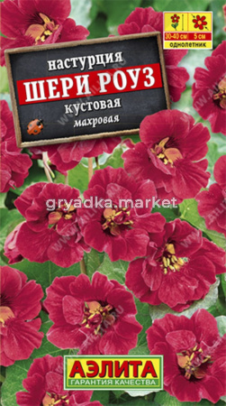 Настурция Шерри Роуз карлик. Аэл.