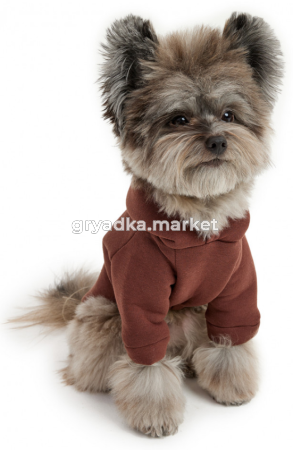 Скриншот 04.12.25_13.50.45