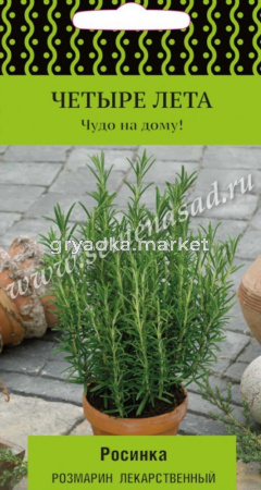Розмарин лекарственный Росинка 10шт (Поиск) Четыре лета