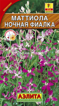 Маттиола Ночная фиалка Аэлита