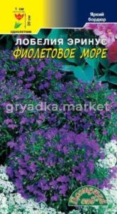 Лобелия Фиолетовое море КУСТОВАЯ Цвет.сад.