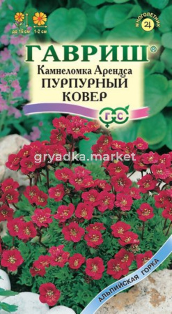 Камнеломка Арендса Пурпурный Ковер 0,01г Гавриш