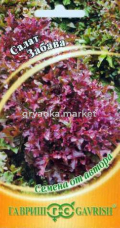 Салат Забава 1,0г.автор.селекция-красный,хруст. Гавриш